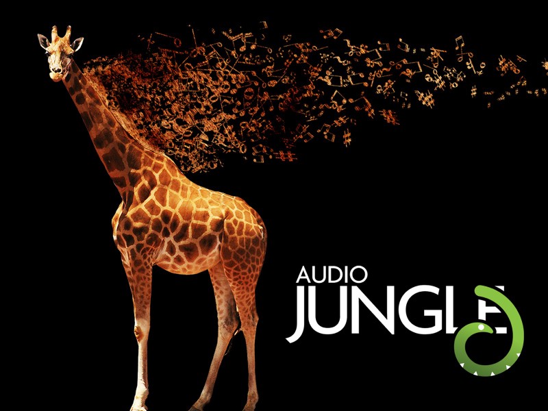 壁纸800x600 长颈鹿 Audio Jungle 创意壁纸壁纸 Audio Jungle 主题设计壁纸壁纸 Audio Jungle 主题设计壁纸图片 Audio Jungle 主题设计壁纸素材 插画壁纸 插画图库 插画图片素材桌面壁纸