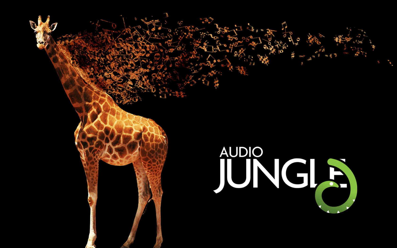 壁纸1680x1050 长颈鹿 Audio Jungle 创意壁纸壁纸 Audio Jungle 主题设计壁纸壁纸 Audio Jungle 主题设计壁纸图片 Audio Jungle 主题设计壁纸素材 插画壁纸 插画图库 插画图片素材桌面壁纸