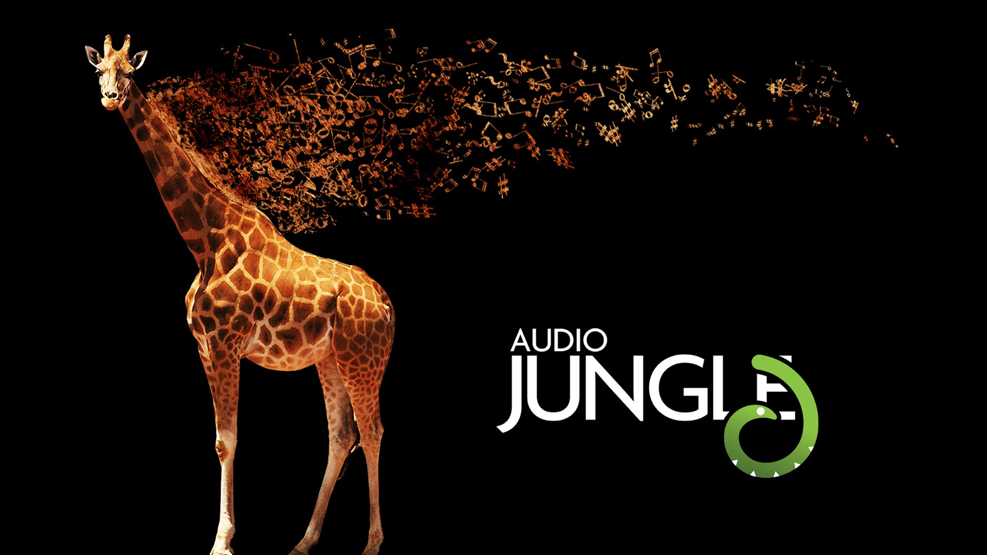 壁纸1920x1080 长颈鹿 Audio Jungle 创意壁纸壁纸 Audio Jungle 主题设计壁纸壁纸 Audio Jungle 主题设计壁纸图片 Audio Jungle 主题设计壁纸素材 插画壁纸 插画图库 插画图片素材桌面壁纸