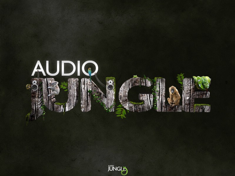 壁纸800x600 Audio Jungle 创意设计壁纸壁纸 Audio Jungle 主题设计壁纸壁纸 Audio Jungle 主题设计壁纸图片 Audio Jungle 主题设计壁纸素材 插画壁纸 插画图库 插画图片素材桌面壁纸