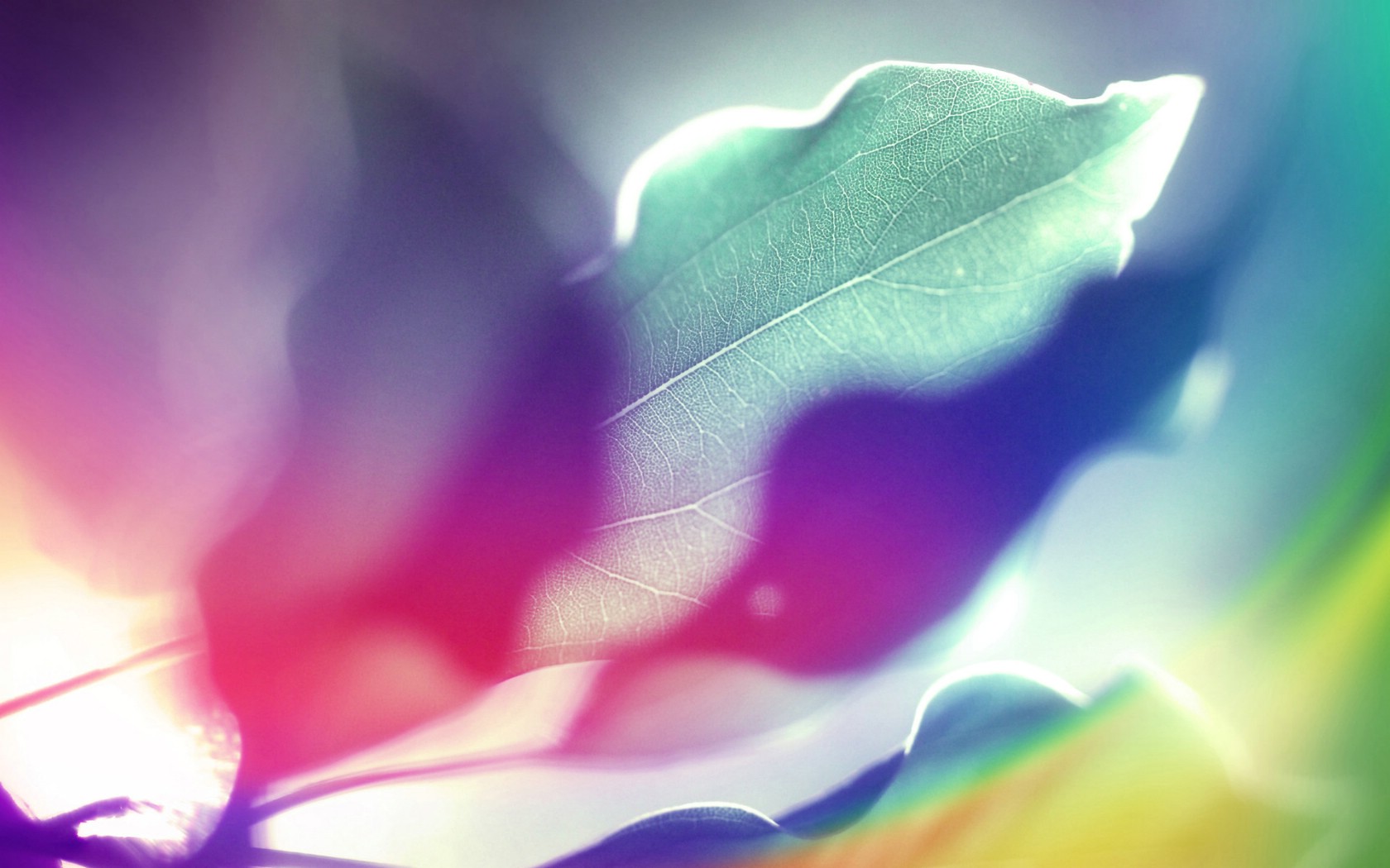 壁纸1680x1050抽象背景 彩虹之色 阳光下的叶子 视觉色彩背景壁纸 抽象背景 彩虹之色壁纸 抽象背景 彩虹之色图片 抽象背景 彩虹之色素材 插画壁纸 插画图库 插画图片素材桌面壁纸