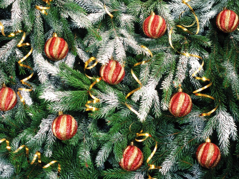 壁紙800x600五彩圣誕樹壁紙 繽紛圣誕樹掛飾 Colorful Christmas Trees Christmas Trees Decoration Wallpaper壁紙 2007 繽紛圣誕樹裝飾掛件壁紙 2007 繽紛圣誕樹裝飾掛件圖片 2007 繽紛圣誕樹裝飾掛件素材 節(jié)日壁紙 節(jié)日圖庫 節(jié)日圖片素材桌面壁紙