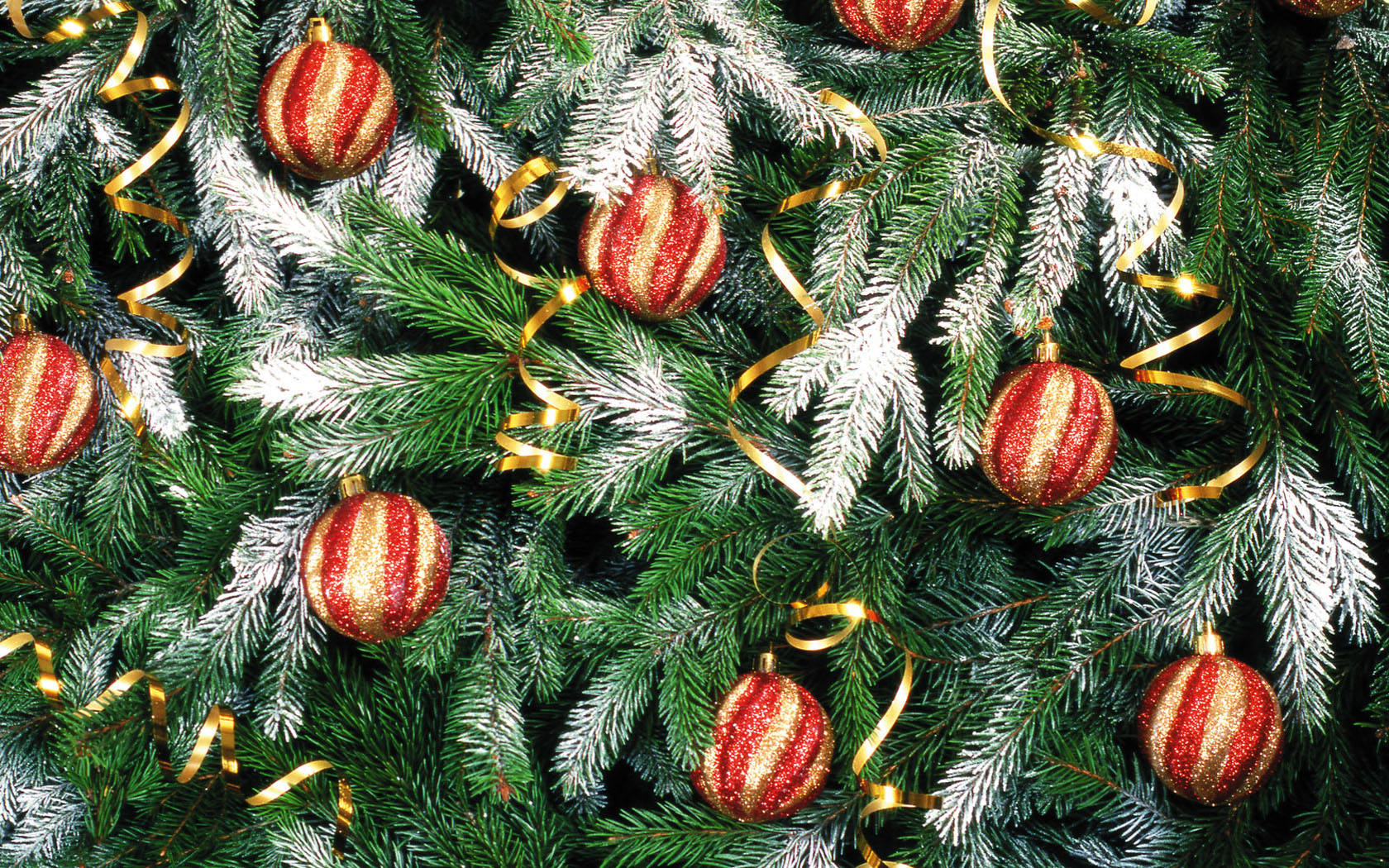 壁紙1680x1050五彩圣誕樹壁紙 繽紛圣誕樹掛飾 Colorful Christmas Trees Christmas Trees Decoration Wallpaper壁紙 2007 繽紛圣誕樹裝飾掛件壁紙 2007 繽紛圣誕樹裝飾掛件圖片 2007 繽紛圣誕樹裝飾掛件素材 節(jié)日壁紙 節(jié)日?qǐng)D庫 節(jié)日?qǐng)D片素材桌面壁紙