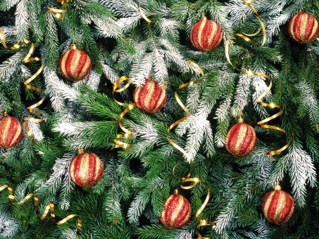 壁紙1024x768五彩圣誕樹壁紙 繽紛圣誕樹掛飾 Colorful Christmas Trees Christmas Trees Decoration Wallpaper壁紙 2007 繽紛圣誕樹裝飾掛件壁紙 2007 繽紛圣誕樹裝飾掛件圖片 2007 繽紛圣誕樹裝飾掛件素材 節(jié)日壁紙 節(jié)日圖庫 節(jié)日圖片素材桌面壁紙