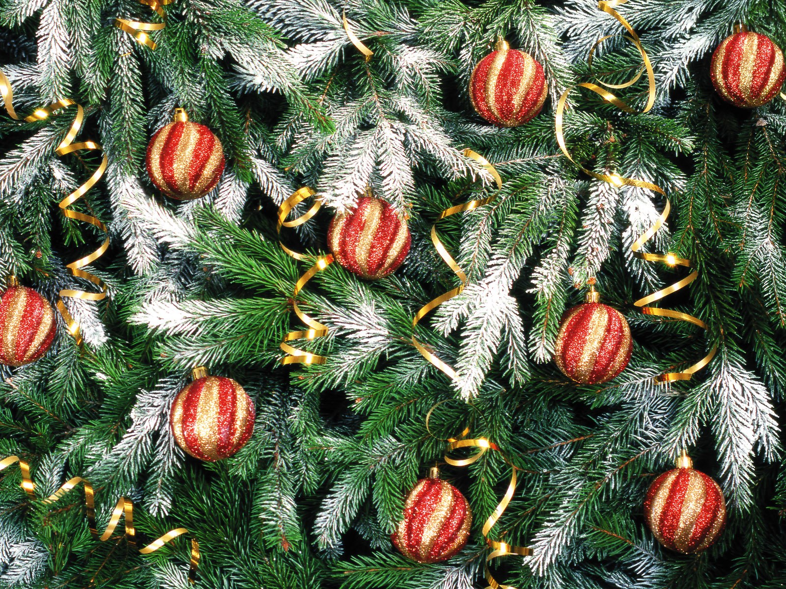 壁紙1600x1200五彩圣誕樹壁紙 繽紛圣誕樹掛飾 Colorful Christmas Trees Christmas Trees Decoration Wallpaper壁紙 2007 繽紛圣誕樹裝飾掛件壁紙 2007 繽紛圣誕樹裝飾掛件圖片 2007 繽紛圣誕樹裝飾掛件素材 節(jié)日壁紙 節(jié)日圖庫 節(jié)日圖片素材桌面壁紙