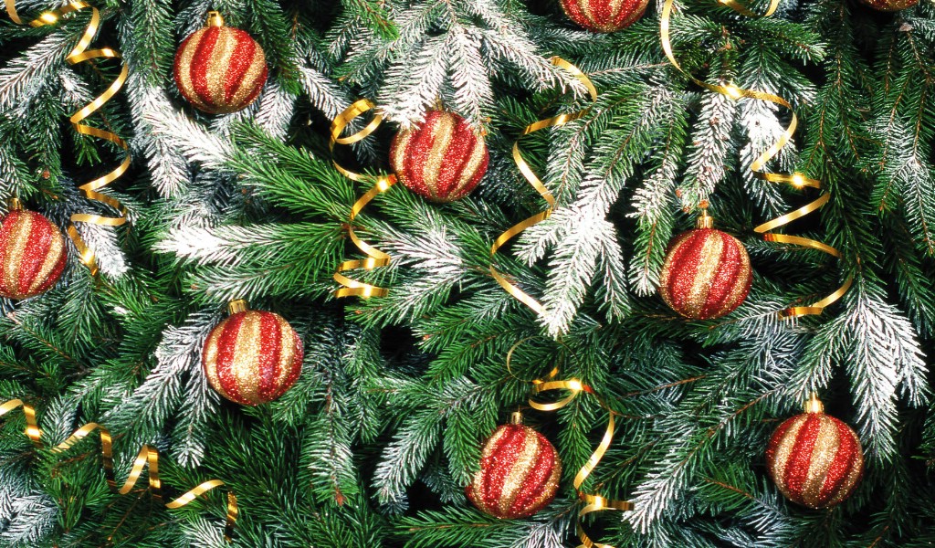 壁紙1024x600五彩圣誕樹壁紙 繽紛圣誕樹掛飾 Colorful Christmas Trees Christmas Trees Decoration Wallpaper壁紙 2007 繽紛圣誕樹裝飾掛件壁紙 2007 繽紛圣誕樹裝飾掛件圖片 2007 繽紛圣誕樹裝飾掛件素材 節(jié)日壁紙 節(jié)日圖庫 節(jié)日圖片素材桌面壁紙