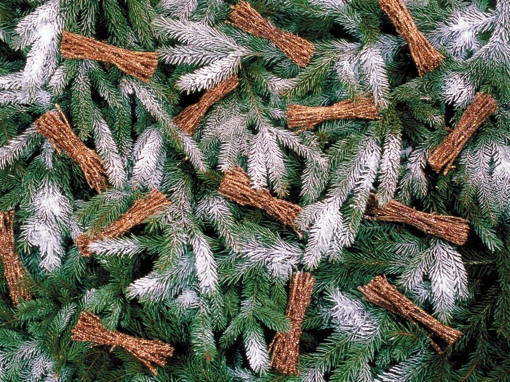 壁紙1024x768五彩圣誕樹(shù)壁紙 繽紛圣誕樹(shù)掛飾 Colorful Christmas Trees Christmas Trees Decoration Wallpaper壁紙 2007 繽紛圣誕樹(shù)裝飾掛件壁紙 2007 繽紛圣誕樹(shù)裝飾掛件圖片 2007 繽紛圣誕樹(shù)裝飾掛件素材 節(jié)日壁紙 節(jié)日?qǐng)D庫(kù) 節(jié)日?qǐng)D片素材桌面壁紙