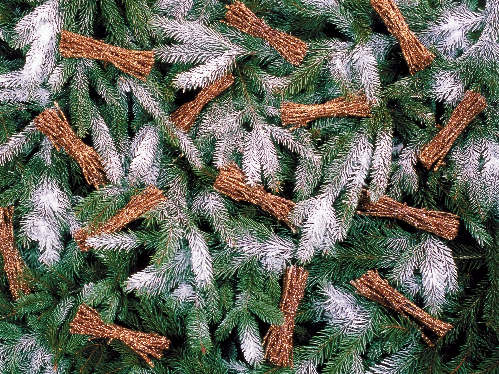 壁紙1600x1200五彩圣誕樹(shù)壁紙 繽紛圣誕樹(shù)掛飾 Colorful Christmas Trees Christmas Trees Decoration Wallpaper壁紙 2007 繽紛圣誕樹(shù)裝飾掛件壁紙 2007 繽紛圣誕樹(shù)裝飾掛件圖片 2007 繽紛圣誕樹(shù)裝飾掛件素材 節(jié)日壁紙 節(jié)日?qǐng)D庫(kù) 節(jié)日?qǐng)D片素材桌面壁紙