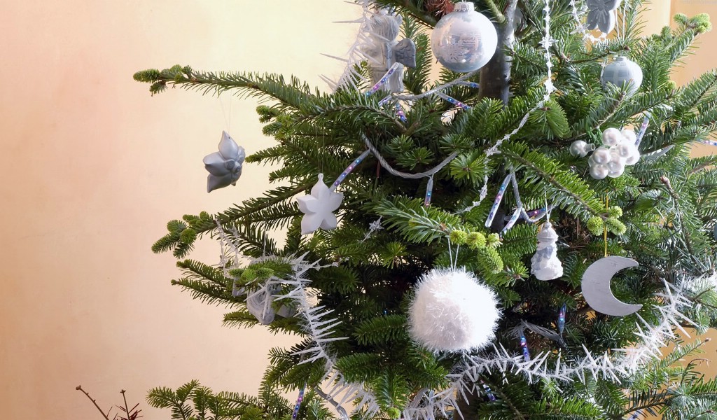 壁紙1024x600五彩圣誕樹壁紙 繽紛圣誕樹掛飾 Colorful Christmas Trees Christmas Trees Decoration Wallpaper壁紙 2007 繽紛圣誕樹裝飾掛件壁紙 2007 繽紛圣誕樹裝飾掛件圖片 2007 繽紛圣誕樹裝飾掛件素材 節(jié)日壁紙 節(jié)日圖庫 節(jié)日圖片素材桌面壁紙
