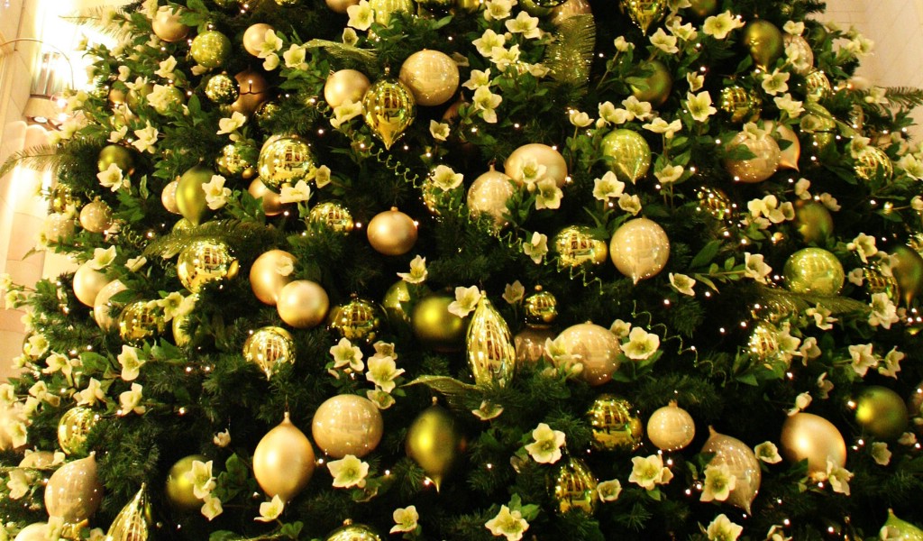 壁紙1024x600五彩圣誕樹壁紙 繽紛圣誕樹掛飾 Colorful Christmas Trees Christmas Trees Decoration Wallpaper壁紙 2007 繽紛圣誕樹裝飾掛件壁紙 2007 繽紛圣誕樹裝飾掛件圖片 2007 繽紛圣誕樹裝飾掛件素材 節(jié)日壁紙 節(jié)日圖庫 節(jié)日圖片素材桌面壁紙