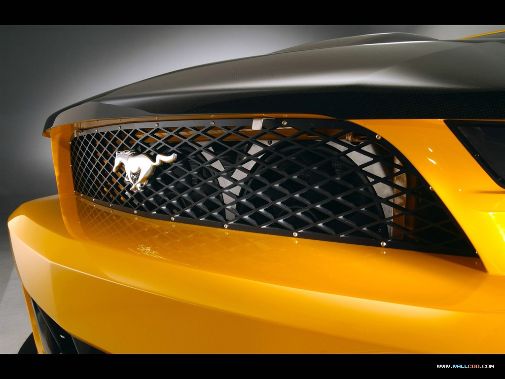 壁纸1024x768Mustang GT R concept 福特野马GT R概念车壁纸 Mustang GT R concept Car 福特野马GT R概念车壁纸壁纸 Mustang GT-R concept福特野马GT-R概念车壁纸壁纸 Mustang GT-R concept福特野马GT-R概念车壁纸图片 Mustang GT-R concept福特野马GT-R概念车壁纸素材 汽车壁纸 汽车图库 汽车图片素材桌面壁纸