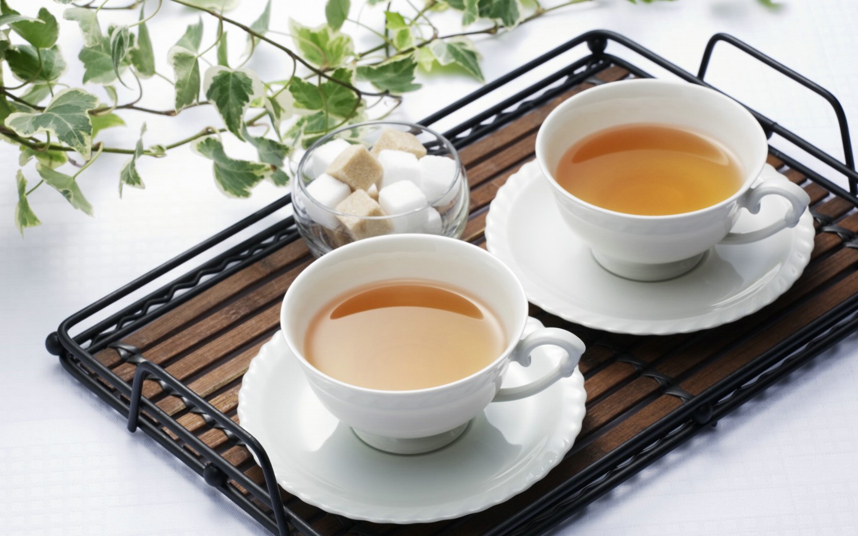 壁纸1680x1050 日本新茶图片 日本茶道摄影壁纸 日本茶道文化与健康饮品壁纸 日本茶道文化与健康饮品图片 日本茶道文化与健康饮品素材 摄影壁纸 摄影图库 摄影图片素材桌面壁纸