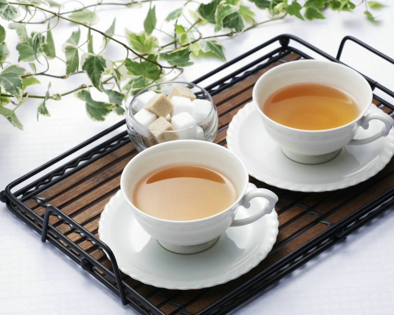 壁纸1280x1024 日本新茶图片 日本茶道摄影壁纸 日本茶道文化与健康饮品壁纸 日本茶道文化与健康饮品图片 日本茶道文化与健康饮品素材 摄影壁纸 摄影图库 摄影图片素材桌面壁纸