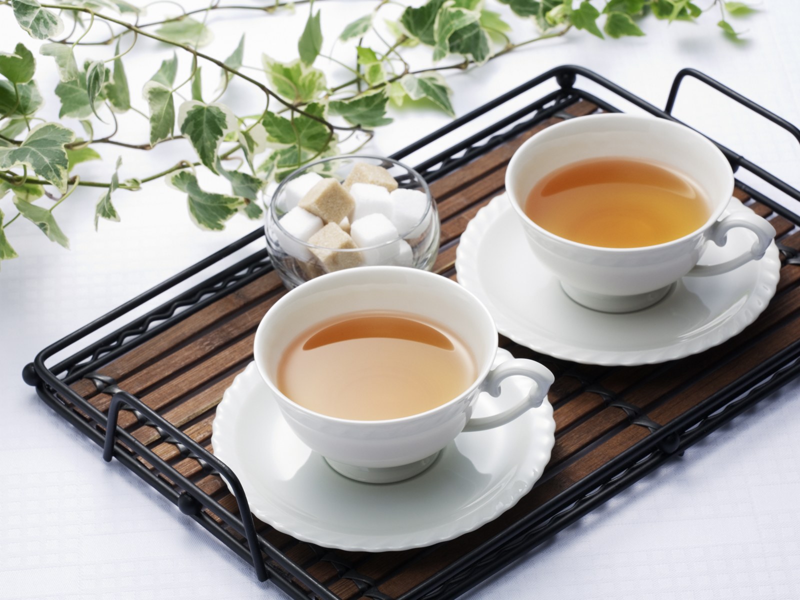 壁纸1600x1200 日本新茶图片 日本茶道摄影壁纸 日本茶道文化与健康饮品壁纸 日本茶道文化与健康饮品图片 日本茶道文化与健康饮品素材 摄影壁纸 摄影图库 摄影图片素材桌面壁纸