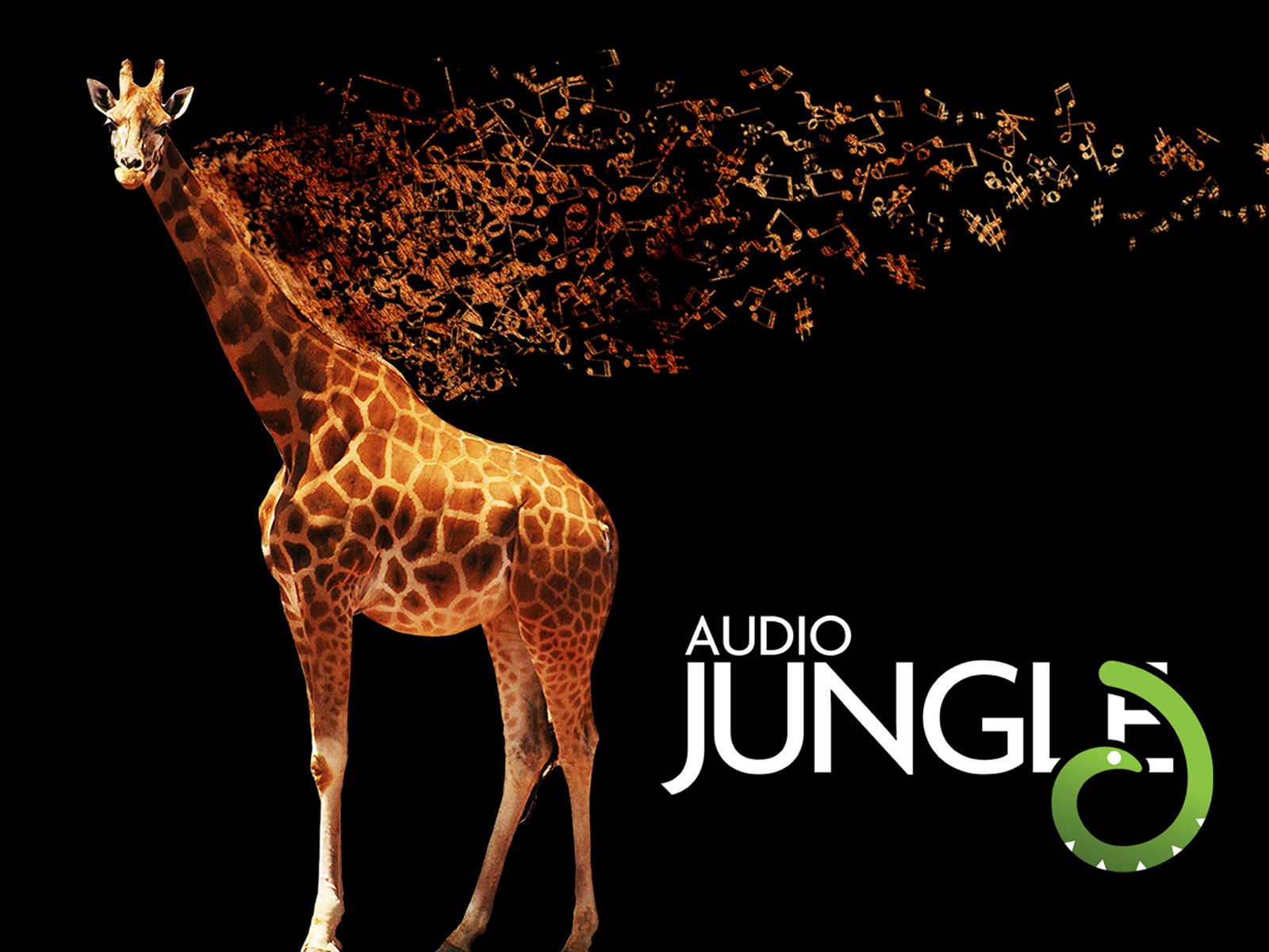 壁纸1600x1200 长颈鹿 Audio Jungle 创意壁纸壁纸 Audio Jungle 主题设计壁纸壁纸 Audio Jungle 主题设计壁纸图片 Audio Jungle 主题设计壁纸素材 插画壁纸 插画图库 插画图片素材桌面壁纸