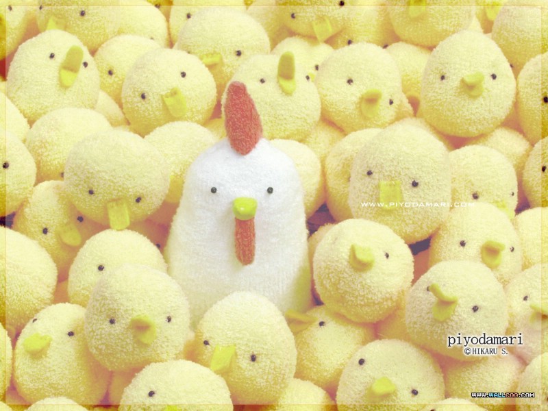 壁纸800x600日本卡通壁纸 黄毛小鸡PIYODAMARI 日本卡通黄毛小鸡 Desktop wallpaper of Stuffed Toy Chicken壁纸 日本卡通壁纸黄毛小鸡PIYODAMARI壁纸 日本卡通壁纸黄毛小鸡PIYODAMARI图片 日本卡通壁纸黄毛小鸡PIYODAMARI素材 插画壁纸 插画图库 插画图片素材桌面壁纸