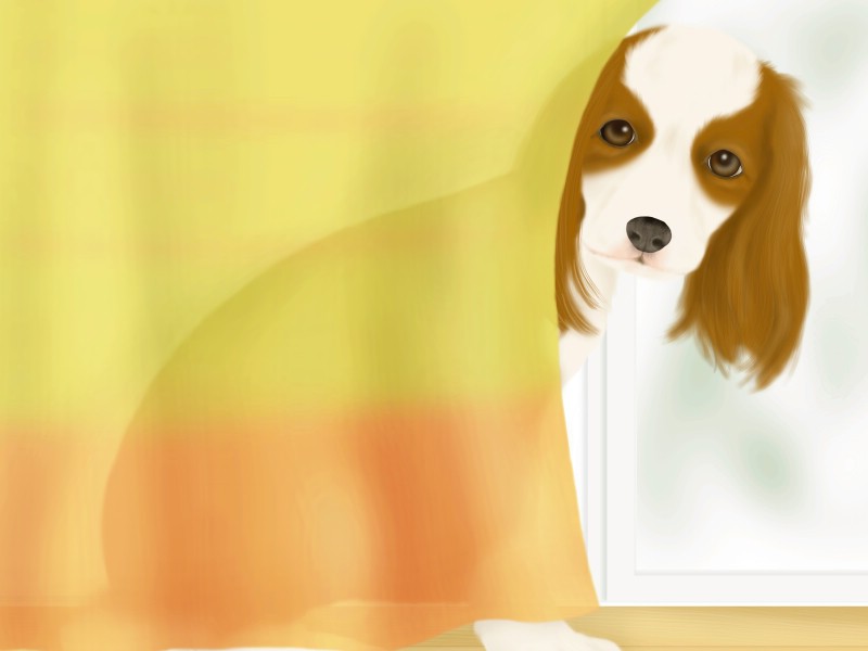 壁纸800x600 宠物狗狗的插画图片壁纸 Painter 柔和插画-我的宠物狗壁纸 Painter 柔和插画-我的宠物狗图片 Painter 柔和插画-我的宠物狗素材 动物壁纸 动物图库 动物图片素材桌面壁纸