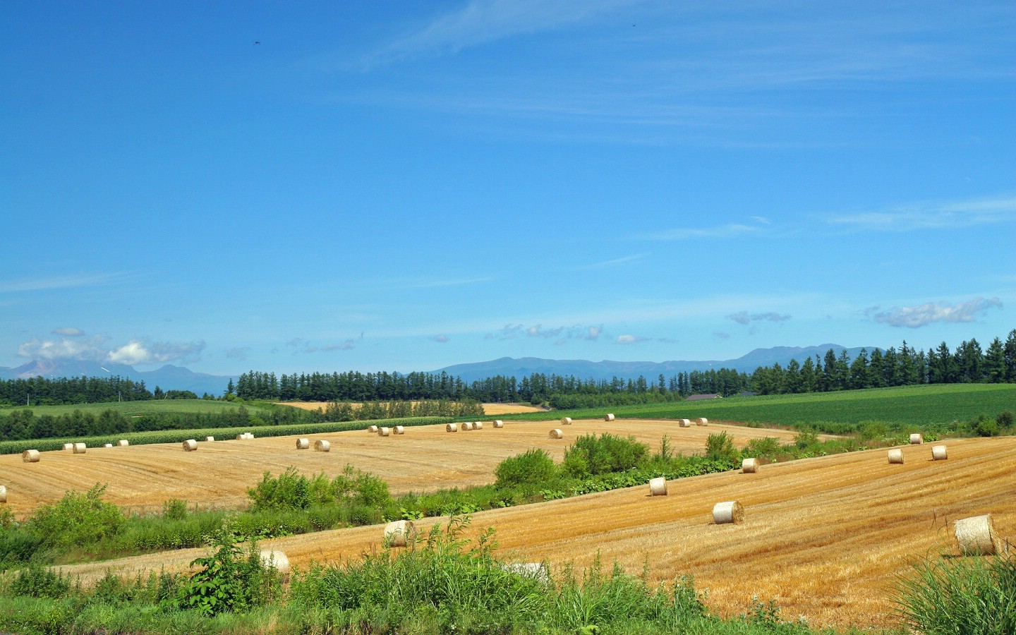 壁纸1440x900北海道天堂 富良野与美瑛田园摄影集 北海道农场上丘陵牧草卷1920 1200壁纸 北海道天堂富良野与美瑛田园摄影集壁纸 北海道天堂富良野与美瑛田园摄影集图片 北海道天堂富良野与美瑛田园摄影集素材 风景壁纸 风景图库 风景图片素材桌面壁纸