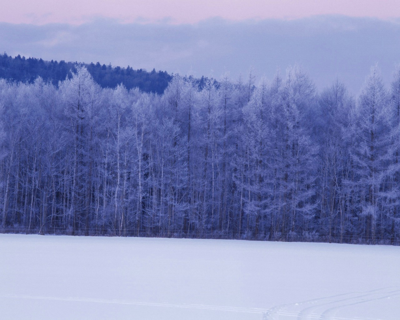 壁纸1280x1024 Snow Winter Scene Wallpaper Snow covered trees and branches壁纸 冰天雪地-冬天雪景壁纸(一)壁纸 冰天雪地-冬天雪景壁纸(一)图片 冰天雪地-冬天雪景壁纸(一)素材 风景壁纸 风景图库 风景图片素材桌面壁纸