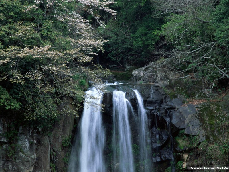 壁纸800x600 春天的图片 春季主题壁纸 Nature Scene in Spring Season壁纸 春天的气息壁纸 春天的气息图片 春天的气息素材 风景壁纸 风景图库 风景图片素材桌面壁纸