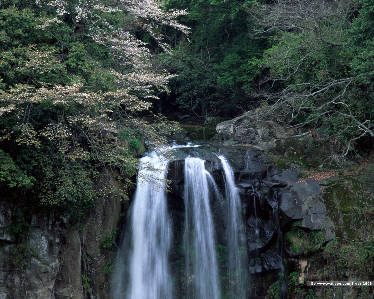 壁纸1280x1024 春天的图片 春季主题壁纸 Nature Scene in Spring Season壁纸 春天的气息壁纸 春天的气息图片 春天的气息素材 风景壁纸 风景图库 风景图片素材桌面壁纸