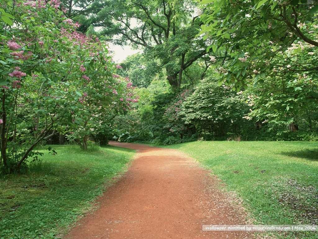 壁纸1024x768道路美景 林荫小径 林荫小径图片壁纸 Desktop Wallpaper of Green Pathway壁纸 道路美景林荫小径壁纸 道路美景林荫小径图片 道路美景林荫小径素材 风景壁纸 风景图库 风景图片素材桌面壁纸