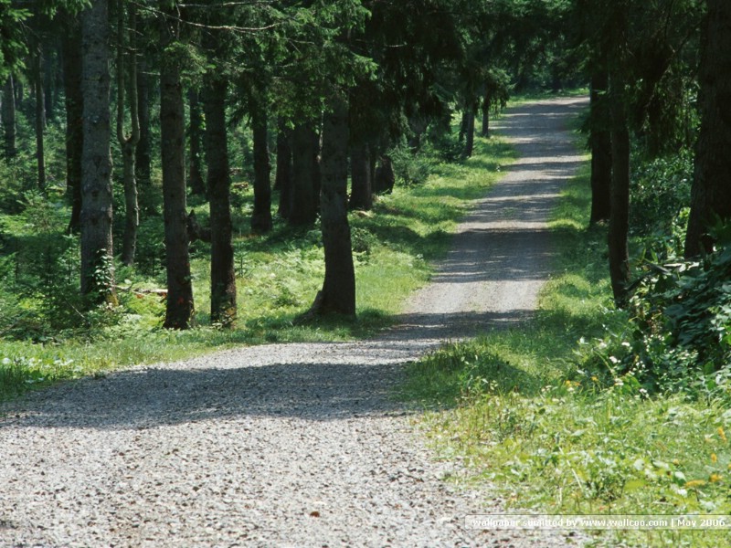 壁纸800x600道路美景 林荫小径 林荫小径图片壁纸 Desktop Wallpaper of Green Pathway壁纸 道路美景林荫小径壁纸 道路美景林荫小径图片 道路美景林荫小径素材 风景壁纸 风景图库 风景图片素材桌面壁纸