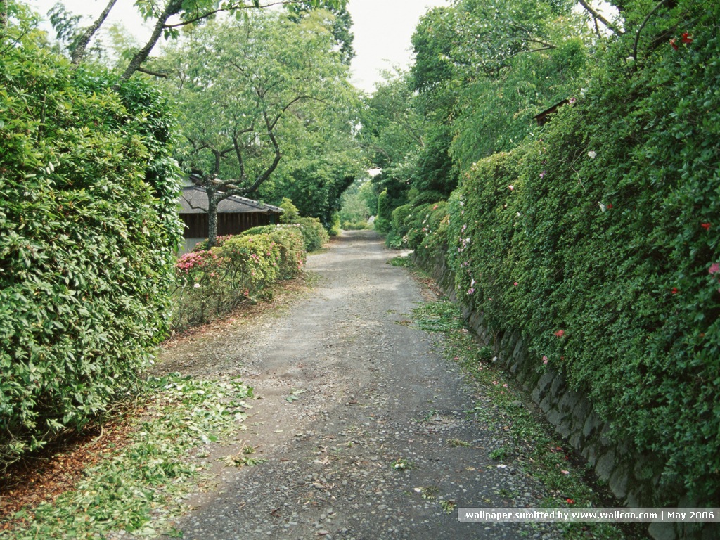 壁纸1024x768道路美景 林荫小径 林荫小径图片壁纸 Desktop Wallpaper of Green Pathway壁纸 道路美景林荫小径壁纸 道路美景林荫小径图片 道路美景林荫小径素材 风景壁纸 风景图库 风景图片素材桌面壁纸