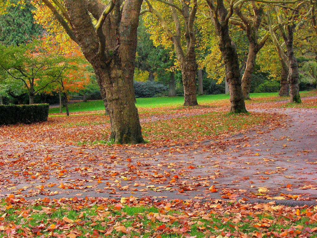 壁纸1024x768 秋天道路图片壁纸 Desktop Wallpaper of Country Road in Autumn壁纸 道路秋景壁纸 道路秋景图片 道路秋景素材 风景壁纸 风景图库 风景图片素材桌面壁纸