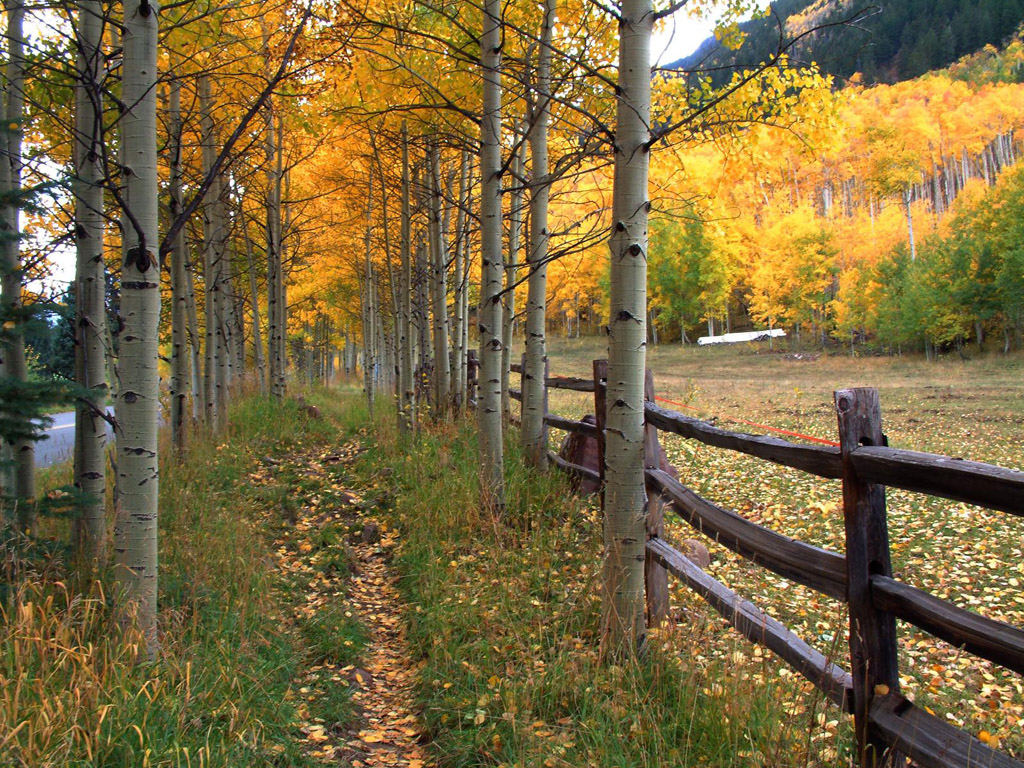 壁纸1024x768 秋天道路图片壁纸 Desktop Wallpaper of Country Road in Autumn壁纸 道路秋景壁纸 道路秋景图片 道路秋景素材 风景壁纸 风景图库 风景图片素材桌面壁纸