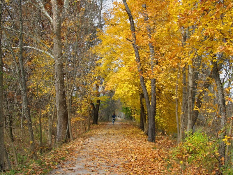 壁纸800x600 秋天道路图片壁纸 Desktop Wallpaper of Country Road in Autumn壁纸 道路秋景壁纸 道路秋景图片 道路秋景素材 风景壁纸 风景图库 风景图片素材桌面壁纸