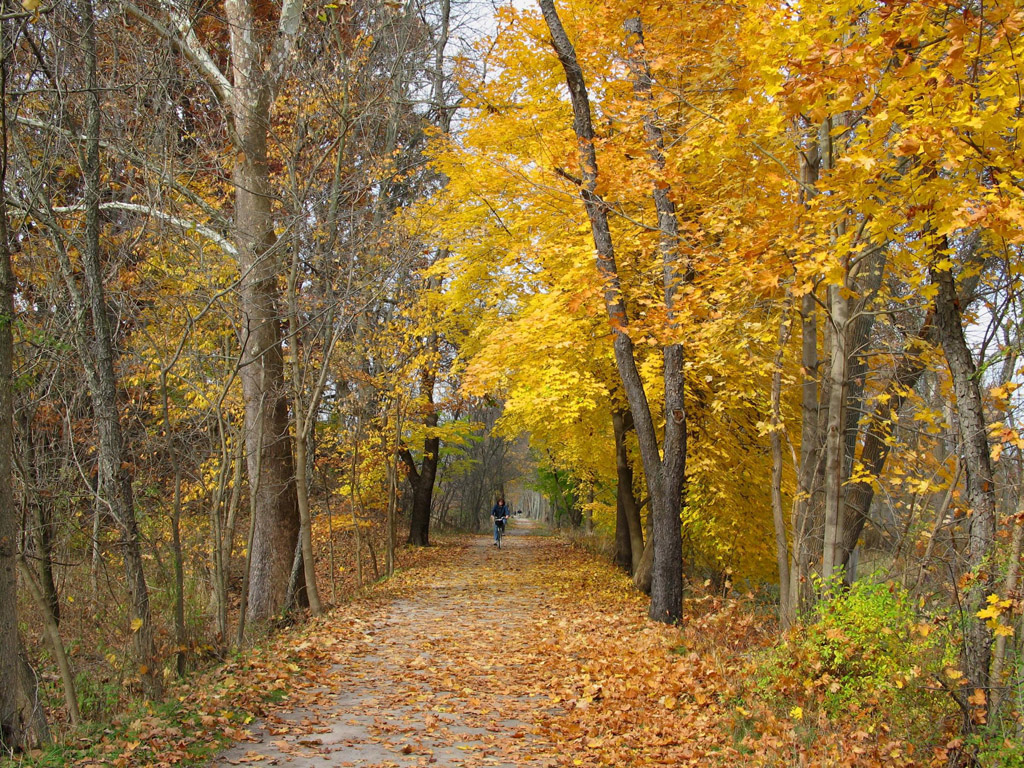 壁纸1024x768 秋天道路图片壁纸 Desktop Wallpaper of Country Road in Autumn壁纸 道路秋景壁纸 道路秋景图片 道路秋景素材 风景壁纸 风景图库 风景图片素材桌面壁纸