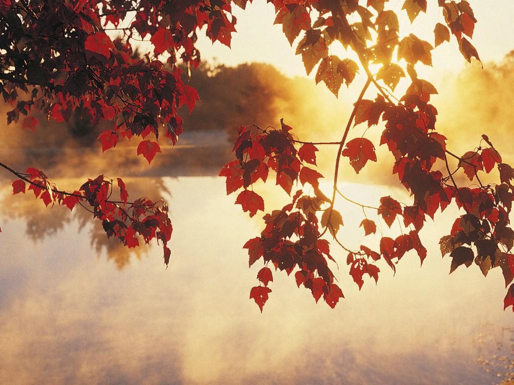 壁纸1024x768地球瑰宝 大尺寸自然风景壁纸精选 第六辑 Autumn Mist at Sunrise 日出晨雾中的秋景图片壁纸壁纸 地球瑰宝大尺寸自然风景壁纸精选 第六辑壁纸 地球瑰宝大尺寸自然风景壁纸精选 第六辑图片 地球瑰宝大尺寸自然风景壁纸精选 第六辑素材 风景壁纸 风景图库 风景图片素材桌面壁纸