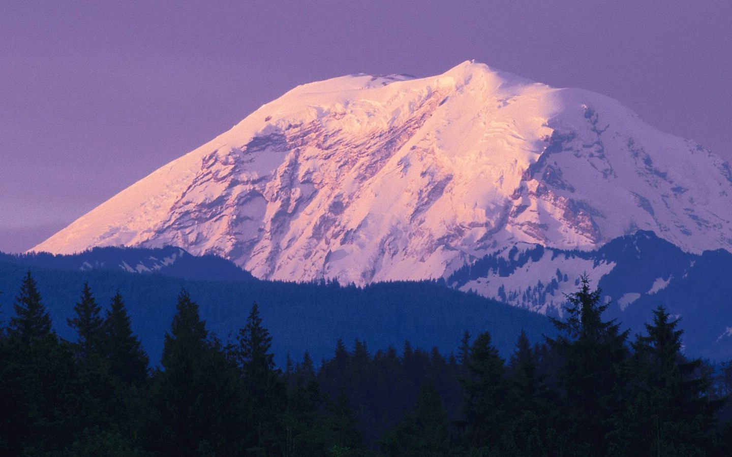 壁纸1440x900华盛顿 积雪覆盖的雷尼尔火山山峰壁纸壁纸 地球瑰宝大尺寸自然风景壁纸精选 第四辑壁纸 地球瑰宝大尺寸自然风景壁纸精选 第四辑图片 地球瑰宝大尺寸自然风景壁纸精选 第四辑素材 风景壁纸 风景图库 风景图片素材桌面壁纸