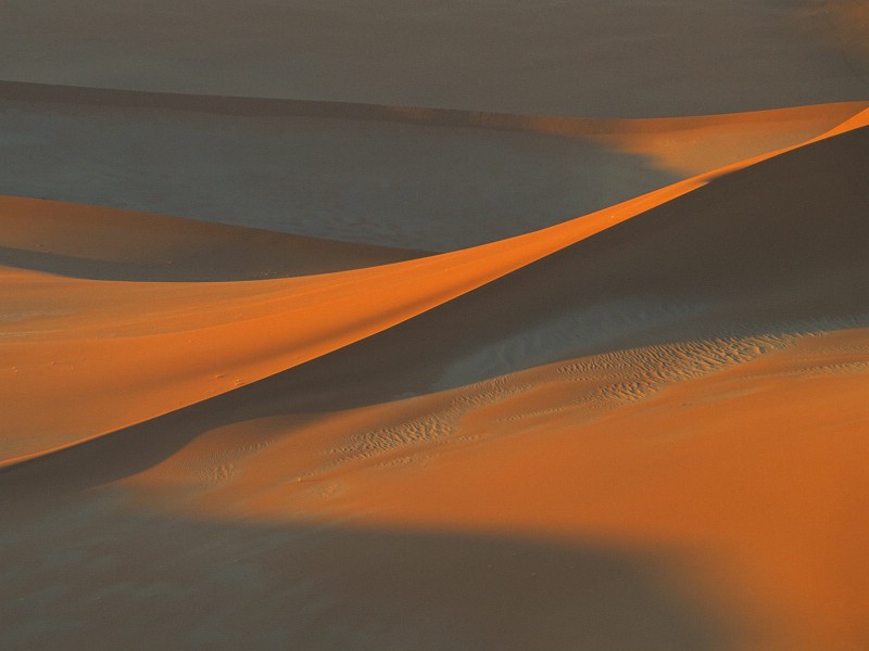 壁纸800x600地球瑰宝 大尺寸自然风景壁纸精选 第一辑 Shadows in the Sand Namib Desert Namibia Africa 非洲纳米比亚 纳米比沙漠图片壁纸壁纸 地球瑰宝大尺寸自然风景壁纸精选 第一辑壁纸 地球瑰宝大尺寸自然风景壁纸精选 第一辑图片 地球瑰宝大尺寸自然风景壁纸精选 第一辑素材 风景壁纸 风景图库 风景图片素材桌面壁纸