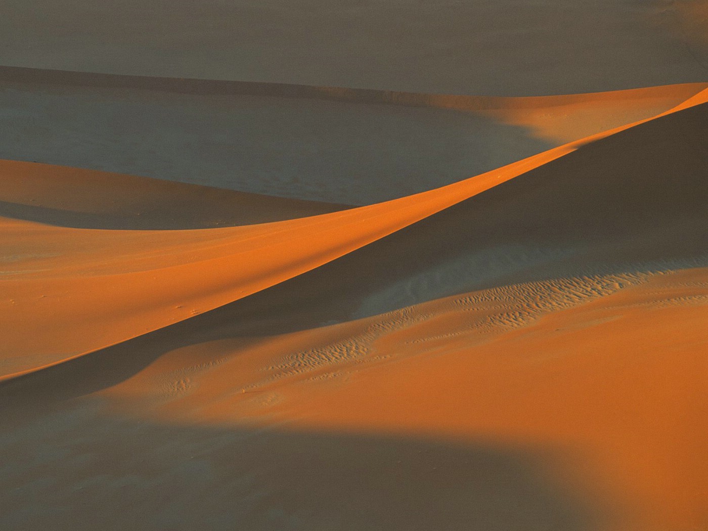 壁纸1400x1050地球瑰宝 大尺寸自然风景壁纸精选 第一辑 Shadows in the Sand Namib Desert Namibia Africa 非洲纳米比亚 纳米比沙漠图片壁纸壁纸 地球瑰宝大尺寸自然风景壁纸精选 第一辑壁纸 地球瑰宝大尺寸自然风景壁纸精选 第一辑图片 地球瑰宝大尺寸自然风景壁纸精选 第一辑素材 风景壁纸 风景图库 风景图片素材桌面壁纸