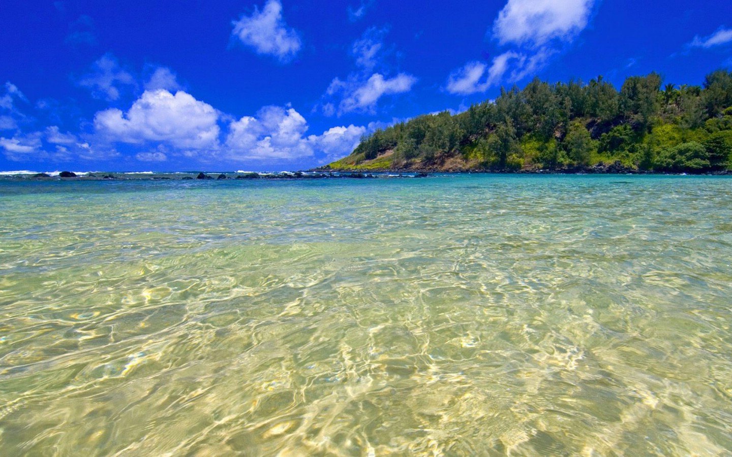 壁纸1440x900夏威夷 蓝绿色的海水壁纸壁纸 地球瑰宝自然风景精选 第八辑壁纸 地球瑰宝自然风景精选 第八辑图片 地球瑰宝自然风景精选 第八辑素材 风景壁纸 风景图库 风景图片素材桌面壁纸