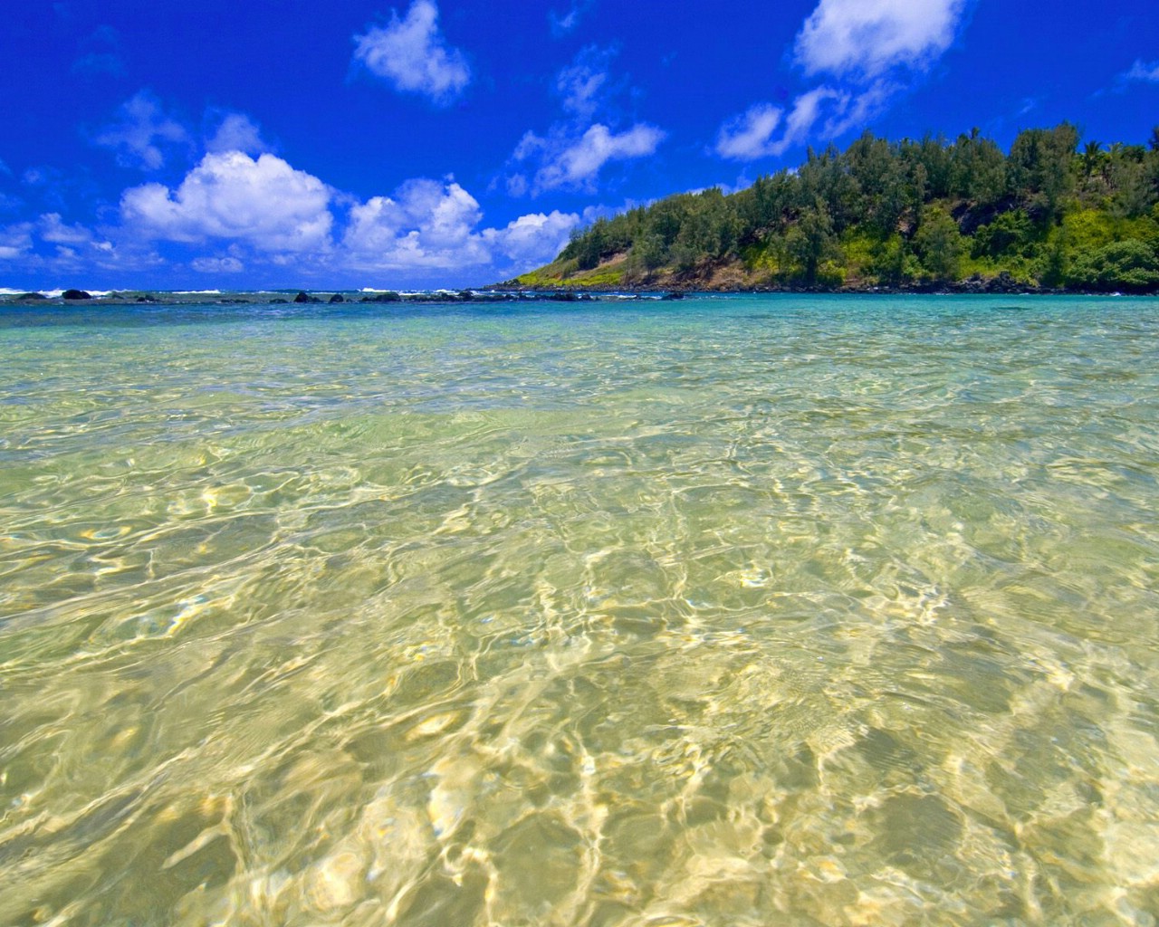 壁纸1280x1024夏威夷 蓝绿色的海水壁纸壁纸 地球瑰宝自然风景精选 第八辑壁纸 地球瑰宝自然风景精选 第八辑图片 地球瑰宝自然风景精选 第八辑素材 风景壁纸 风景图库 风景图片素材桌面壁纸