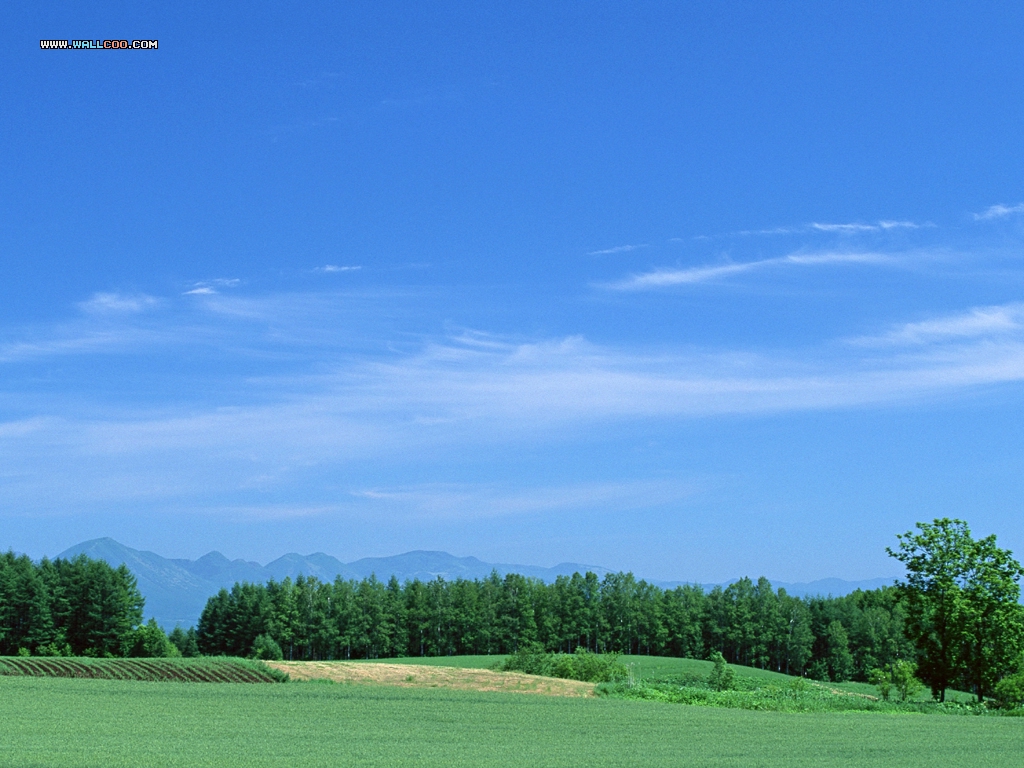 壁纸1024x768 田园原野风景壁纸 Desktop Wallpaper of Farm Lanscape壁纸 美丽田园风景摄影壁纸 美丽田园风景摄影图片 美丽田园风景摄影素材 风景壁纸 风景图库 风景图片素材桌面壁纸