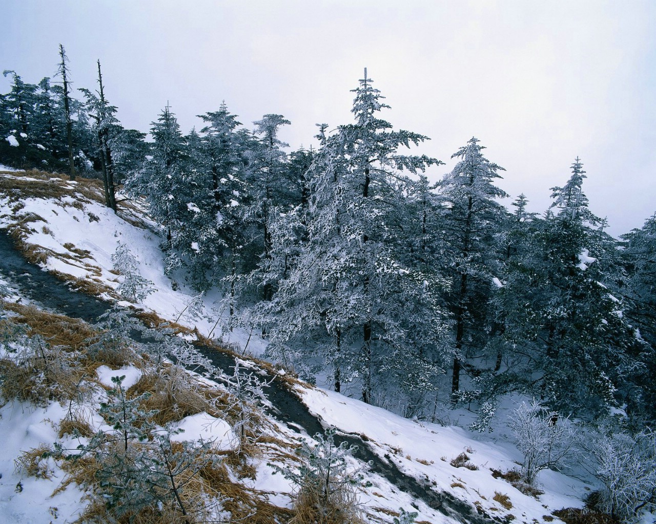 壁纸1280x1024 中国名山雪景 冬天的雪景壁纸 美丽中国 冬季风光壁纸 美丽中国 冬季风光图片 美丽中国 冬季风光素材 风景壁纸 风景图库 风景图片素材桌面壁纸