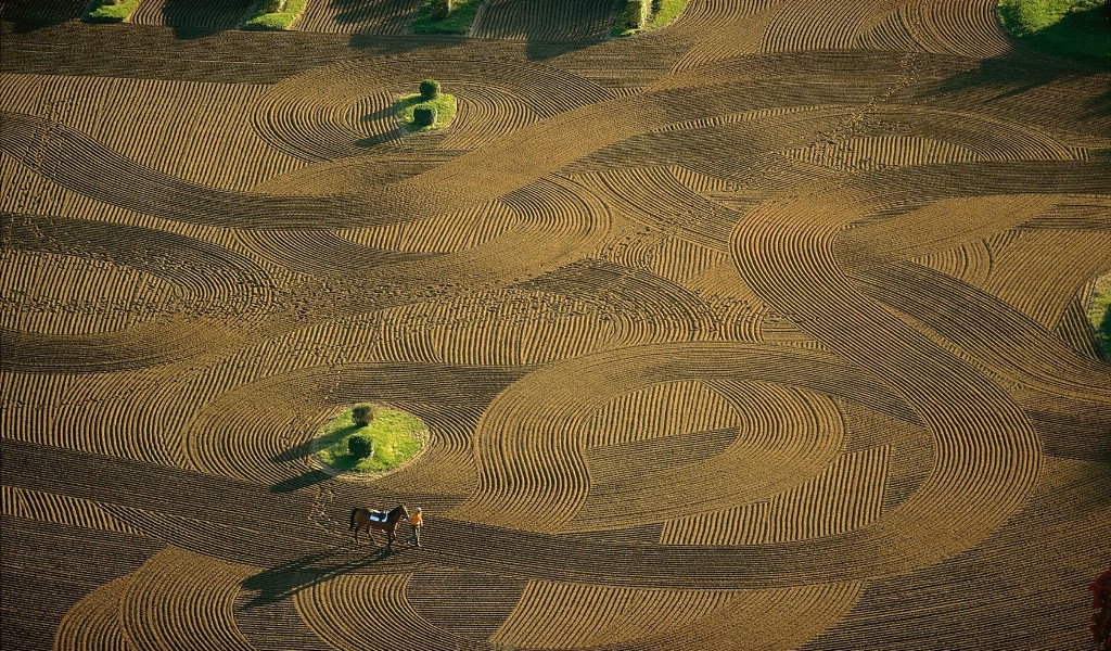 壁纸1024x600上帝之眼 扬恩 亚瑟 Yann Arthus Bertrand 空中摄影奇景壁纸法国篇 鸟瞰法国 拉菲特之家赛马场训练地图片壁纸壁纸 上帝之眼空中摄影奇景法国篇壁纸 上帝之眼空中摄影奇景法国篇图片 上帝之眼空中摄影奇景法国篇素材 风景壁纸 风景图库 风景图片素材桌面壁纸