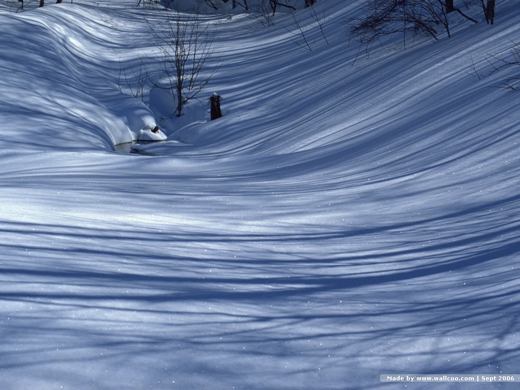 壁纸1024x768四季美景 冬天 冬天雪景图片壁纸 Desktop wallpaper of Snow Winter壁纸 四季美景冬天壁纸 四季美景冬天图片 四季美景冬天素材 风景壁纸 风景图库 风景图片素材桌面壁纸