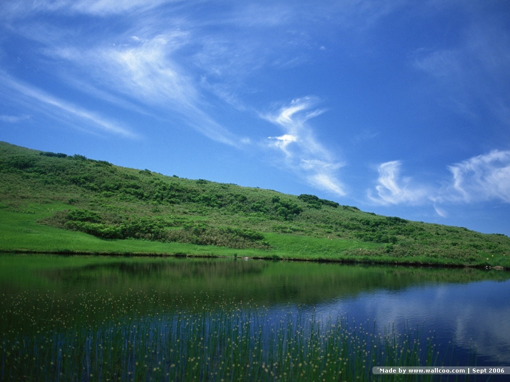 壁纸1024x768四季美景 夏天 夏天风景图片壁纸 Desktop Wallpaper of Summer壁纸 四季美景夏天壁纸 四季美景夏天图片 四季美景夏天素材 风景壁纸 风景图库 风景图片素材桌面壁纸