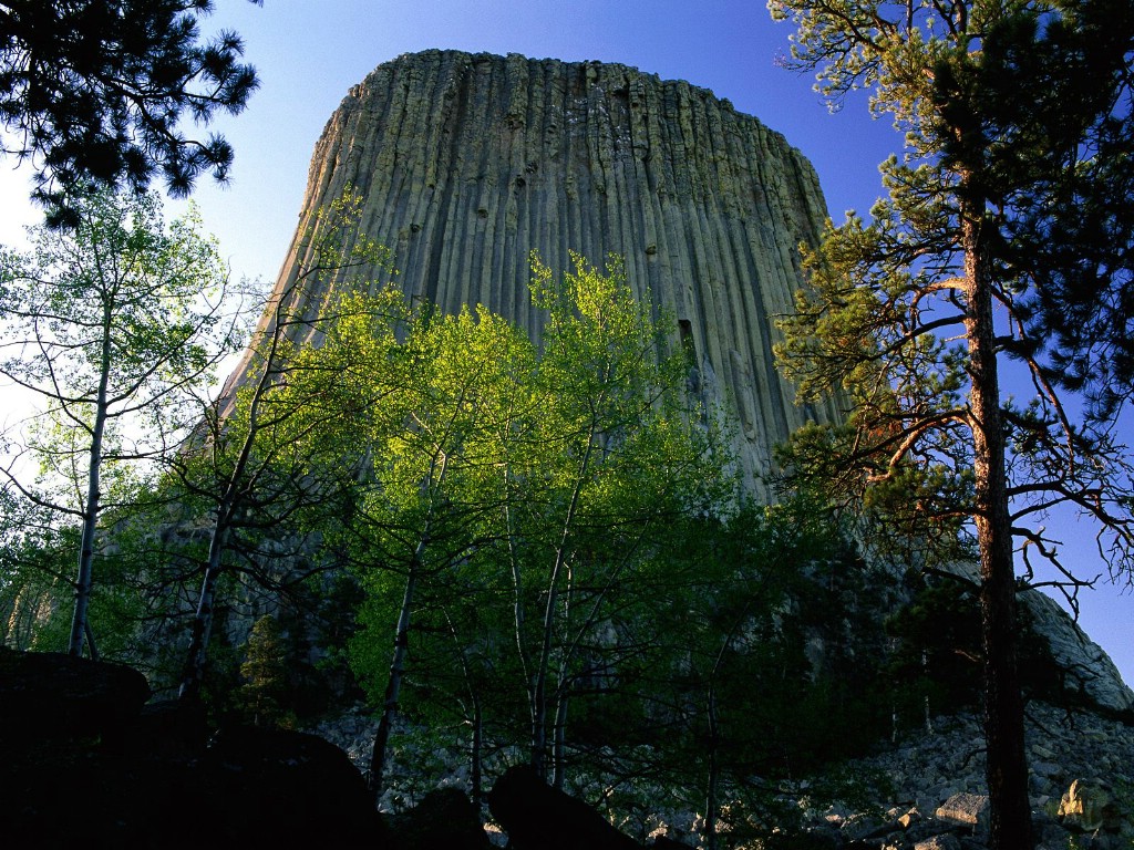 壁纸1024x768 美国名胜风景壁纸 魔鬼塔国家纪念碑 Devils Tower National Monument壁纸 Webshots Daily Photos 2008年3月版(上辑)壁纸 Webshots Daily Photos 2008年3月版(上辑)图片 Webshots Daily Photos 2008年3月版(上辑)素材 风景壁纸 风景图库 风景图片素材桌面壁纸