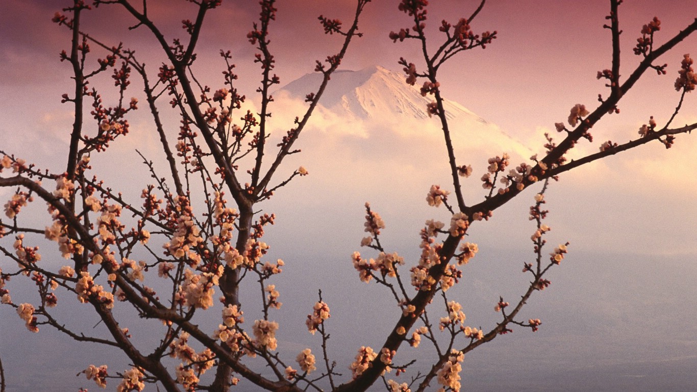 壁纸1366x768Windows 7世界名胜高清壁纸 亚洲篇 日本 富士山与樱花 Mount Fuji and Cherry Blossoms Japan壁纸 Windows 7世界名胜高清壁纸亚洲篇壁纸 Windows 7世界名胜高清壁纸亚洲篇图片 Windows 7世界名胜高清壁纸亚洲篇素材 风景壁纸 风景图库 风景图片素材桌面壁纸