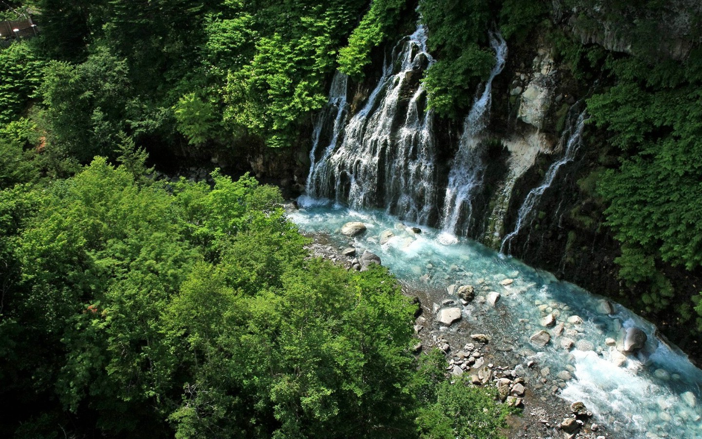 壁纸1440x900夏日北海道 北海道郊外风景 日本北海道郊外风景图片壁纸 夏日北海道郊外风景壁纸 夏日北海道郊外风景图片 夏日北海道郊外风景素材 风景壁纸 风景图库 风景图片素材桌面壁纸