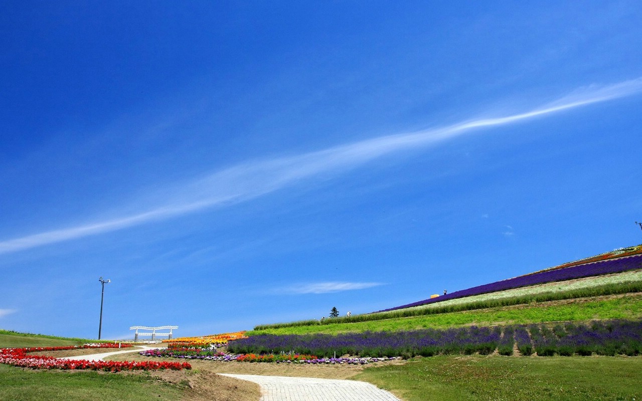 壁纸1280x800夏日北海道 北海道郊外风景 日本北海道郊外风景图片壁纸 夏日北海道郊外风景壁纸 夏日北海道郊外风景图片 夏日北海道郊外风景素材 风景壁纸 风景图库 风景图片素材桌面壁纸