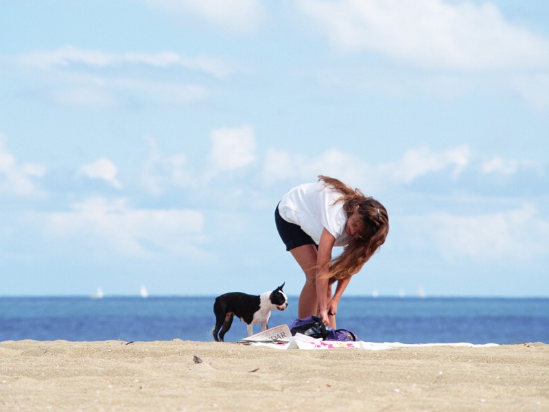 壁纸800x600 夏日海滩的散步壁纸 夏日休闲与阳光海滩壁纸 夏日休闲与阳光海滩图片 夏日休闲与阳光海滩素材 风景壁纸 风景图库 风景图片素材桌面壁纸