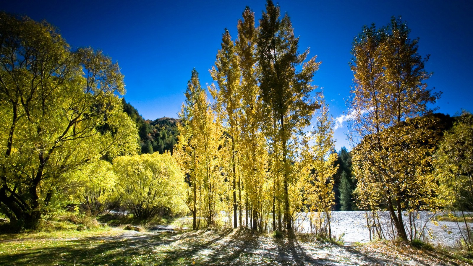 壁纸1600x900 新西兰迷人的秋天 新西兰箭镇 Arrowtown Autumn New Zealand壁纸 新西兰的山水如画壁纸壁纸 新西兰的山水如画壁纸图片 新西兰的山水如画壁纸素材 风景壁纸 风景图库 风景图片素材桌面壁纸