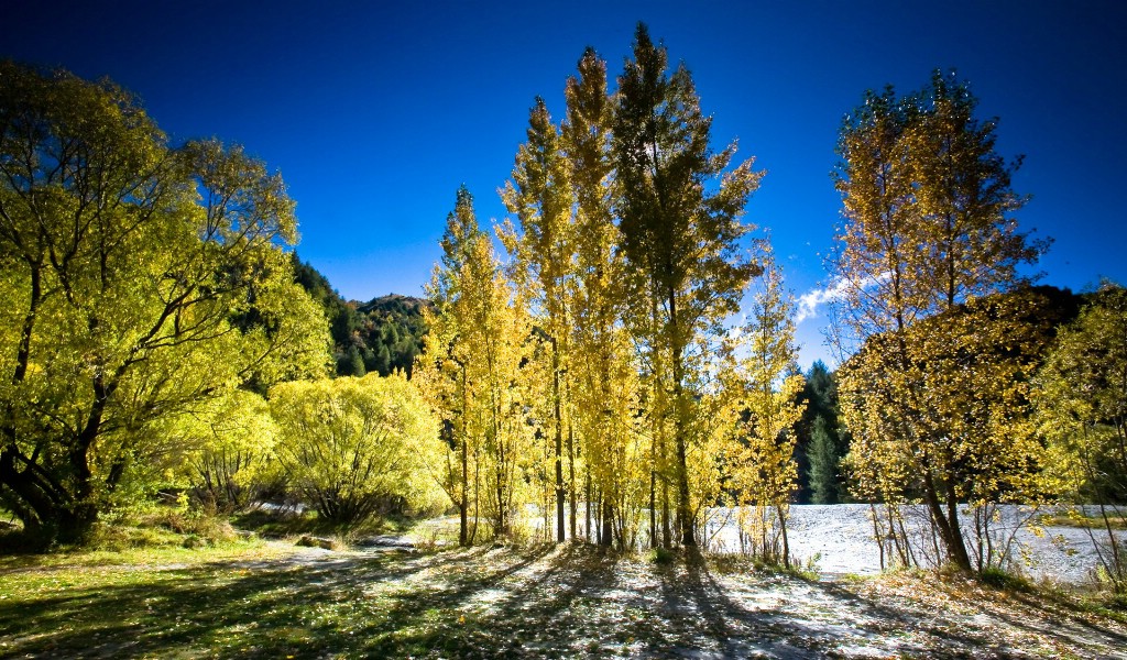 壁纸1024x600 新西兰迷人的秋天 新西兰箭镇 Arrowtown Autumn New Zealand壁纸 新西兰的山水如画壁纸壁纸 新西兰的山水如画壁纸图片 新西兰的山水如画壁纸素材 风景壁纸 风景图库 风景图片素材桌面壁纸